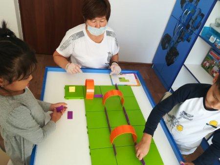 Робототехника      Мектепалды "Көгершін"тобы