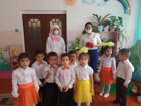 "Жабайы аңдар" ашық оқу қызметі