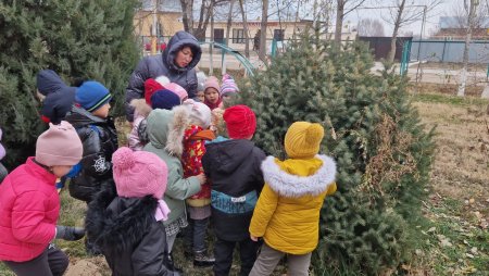 Пилоттық жоба мектеп алды "Көгершін" тобы