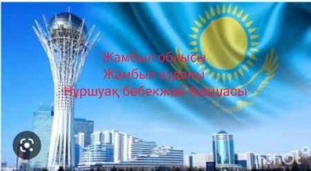 Пилоттық жоба мектеп алды "Көгершін" тобы